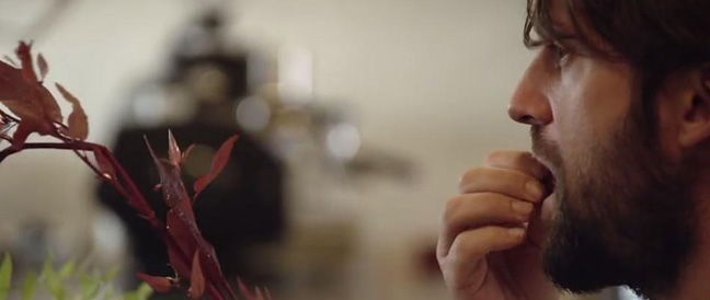 Filmtipp: Noma