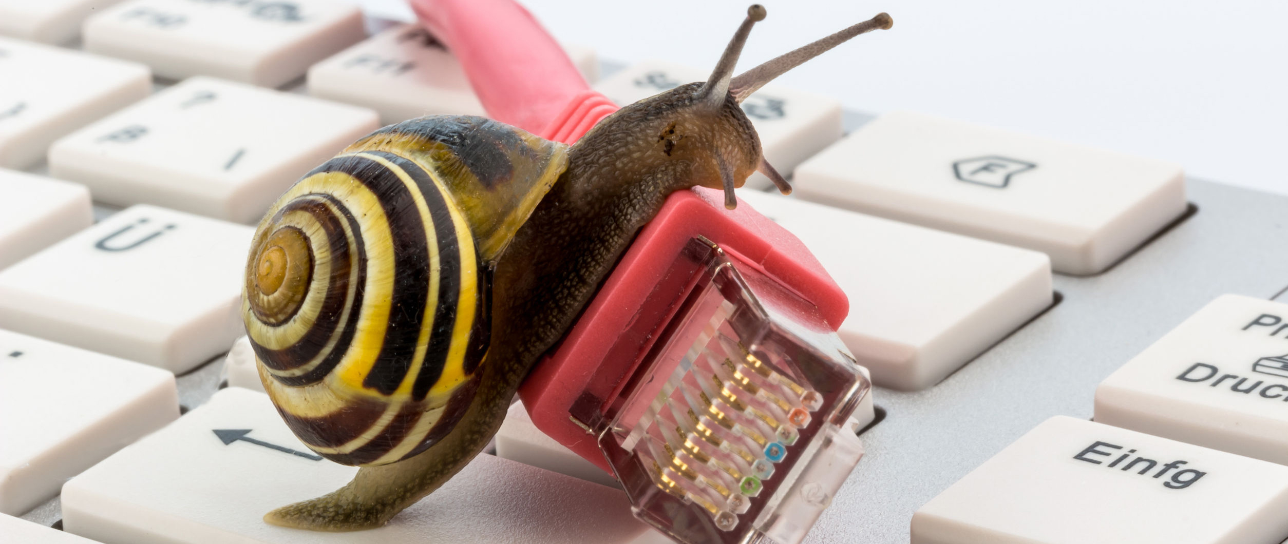 Das schnelle kommt zu langsam Blickpunkt Verlag Blickpunkt Verlag