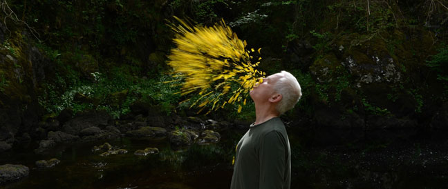 Filmtipp: Leaning into the Wind – Andy Goldsworthy