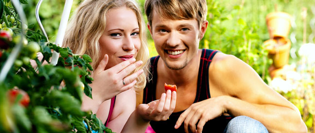 Jetzt alte Tomatensorten jetzt vorziehen