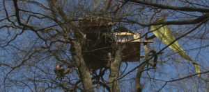 Film-Tipp: Die rote Linie – Widerstand im Hambacher Forst Film-Tipp: Die rote Linie – Widerstand im Hambacher Forst