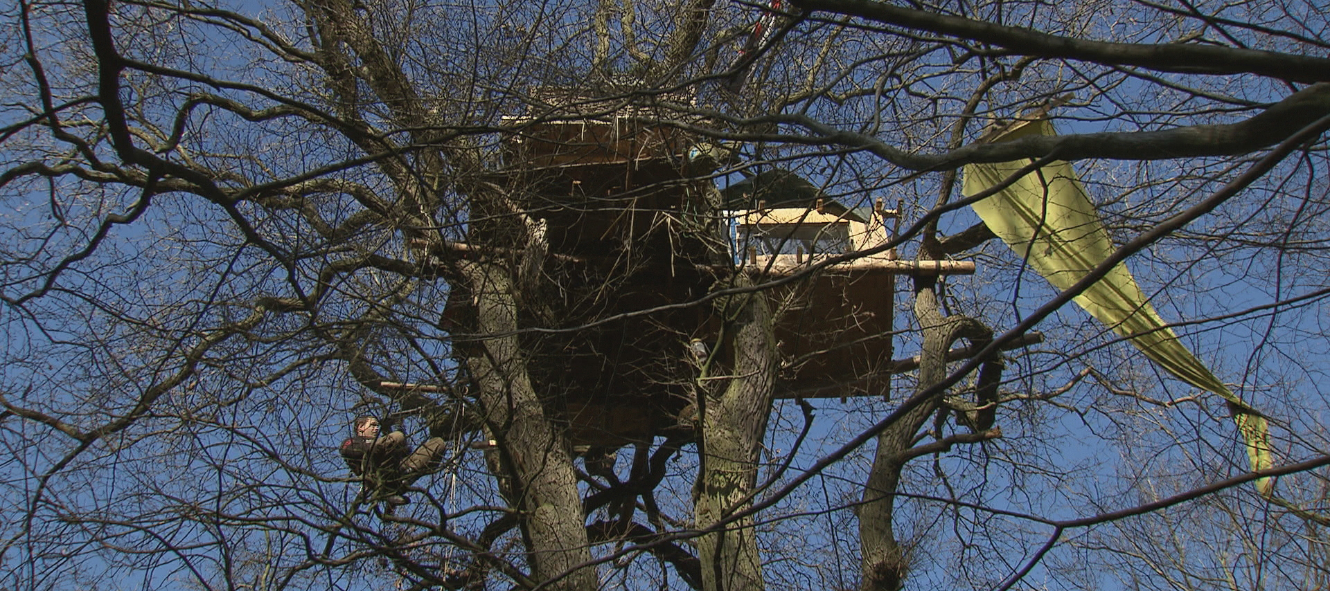 Film-Tipp: Die rote Linie – Widerstand im Hambacher Forst