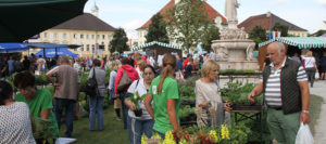 Markttage im schönen Altötting Markttage im schönen Altötting