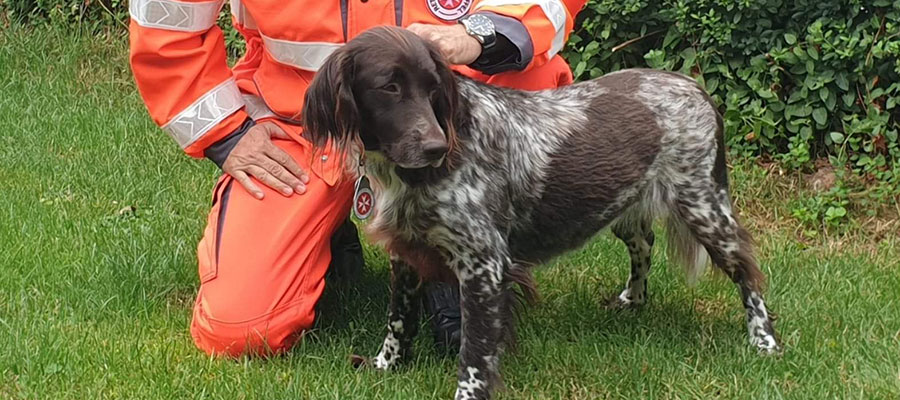 Neuer Rettungshund für Landkreis Rosenheim