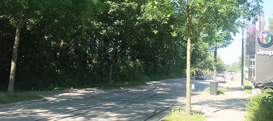 Waldkraiburg: Bürgerinitiative will Waldbestände erhalten