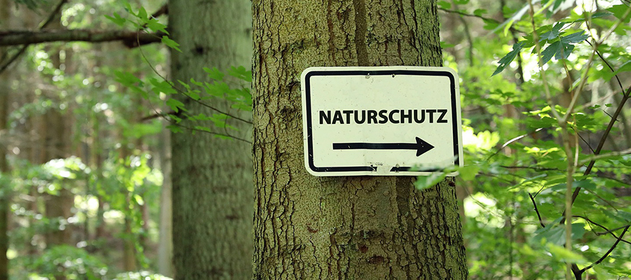 Naturschutz in Bayern: Gewinner, Verlierer, Fazit & Ausblick!