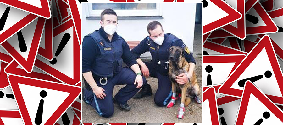 Polizeibeamte retten Hund aus Innkanal