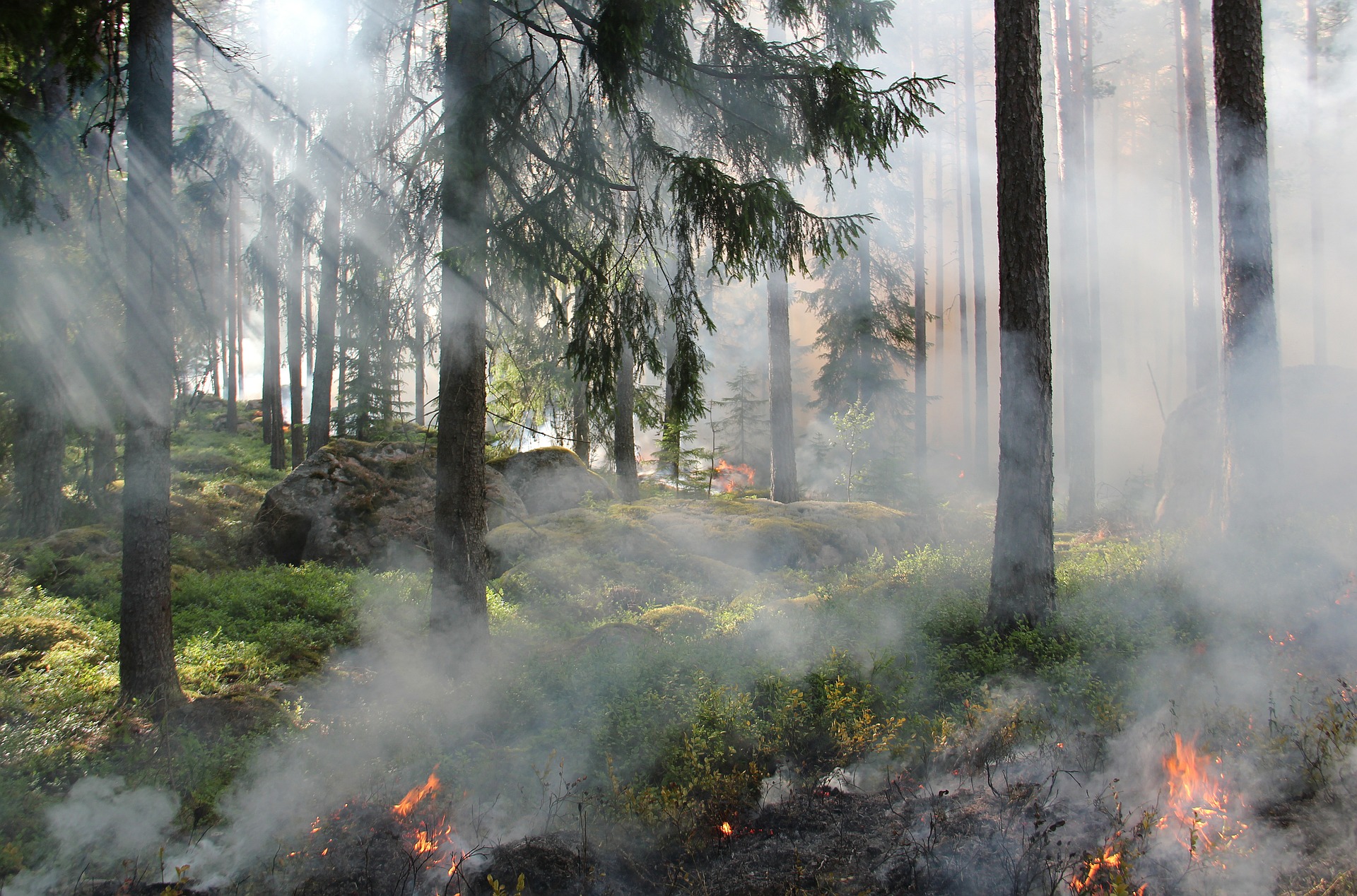Vorsicht: Erhöhte Waldbrandgefahr!