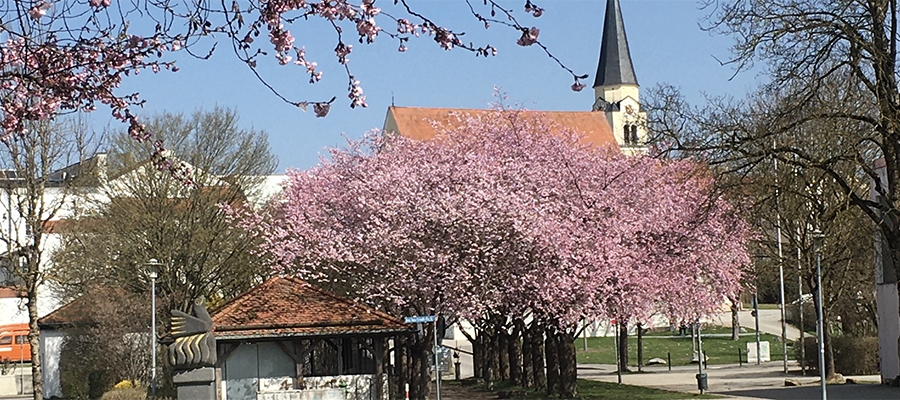 Bürgerbegehren zum Erhalt des Innstadtparks in Mühldorf a. Inn