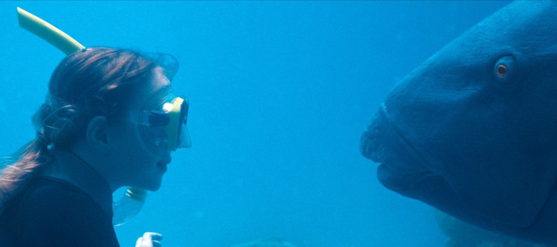 Film-Tipp: Blueback – eine tiefe Freundschaft