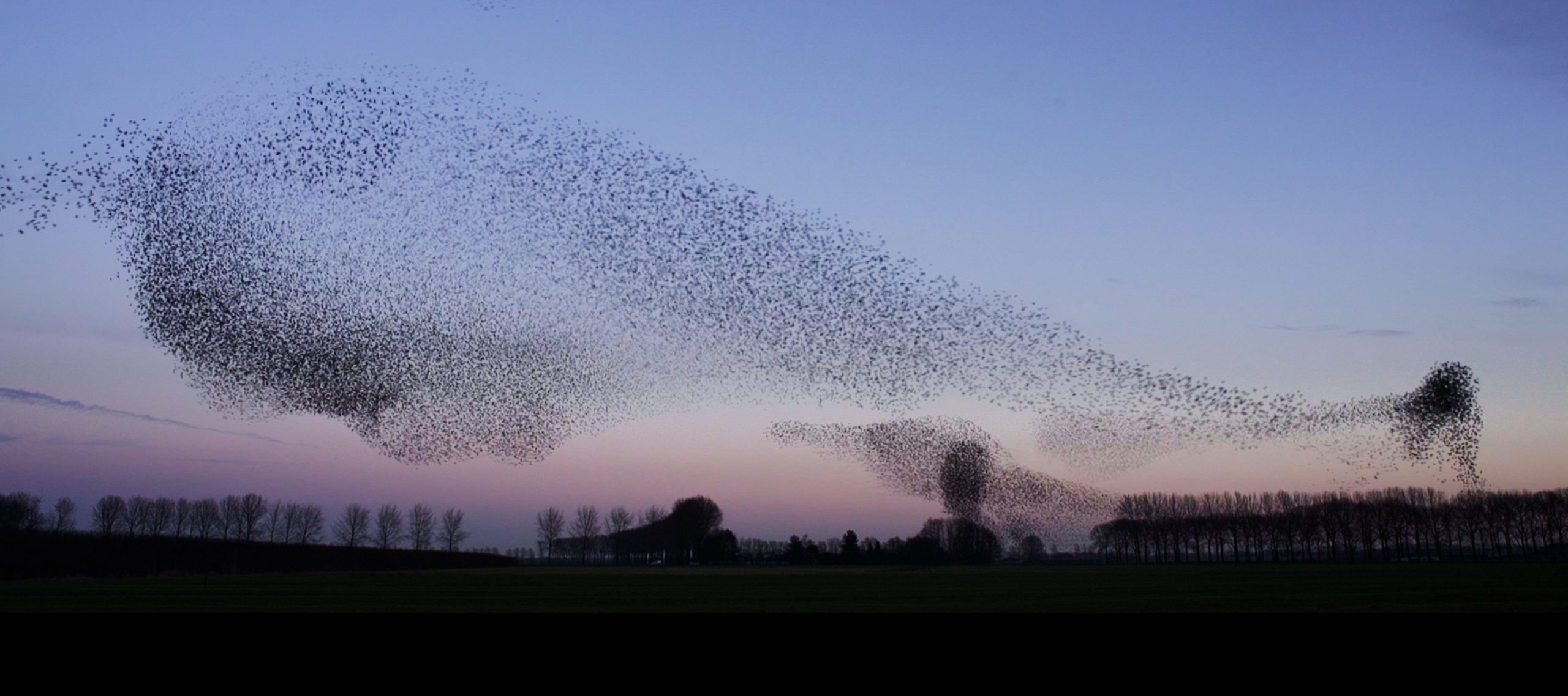 Film-Tipp: Vogelperspektiven