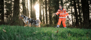 Rettungshunde finden gestürzten Senioren Rettungshunde finden gestürzten Senioren