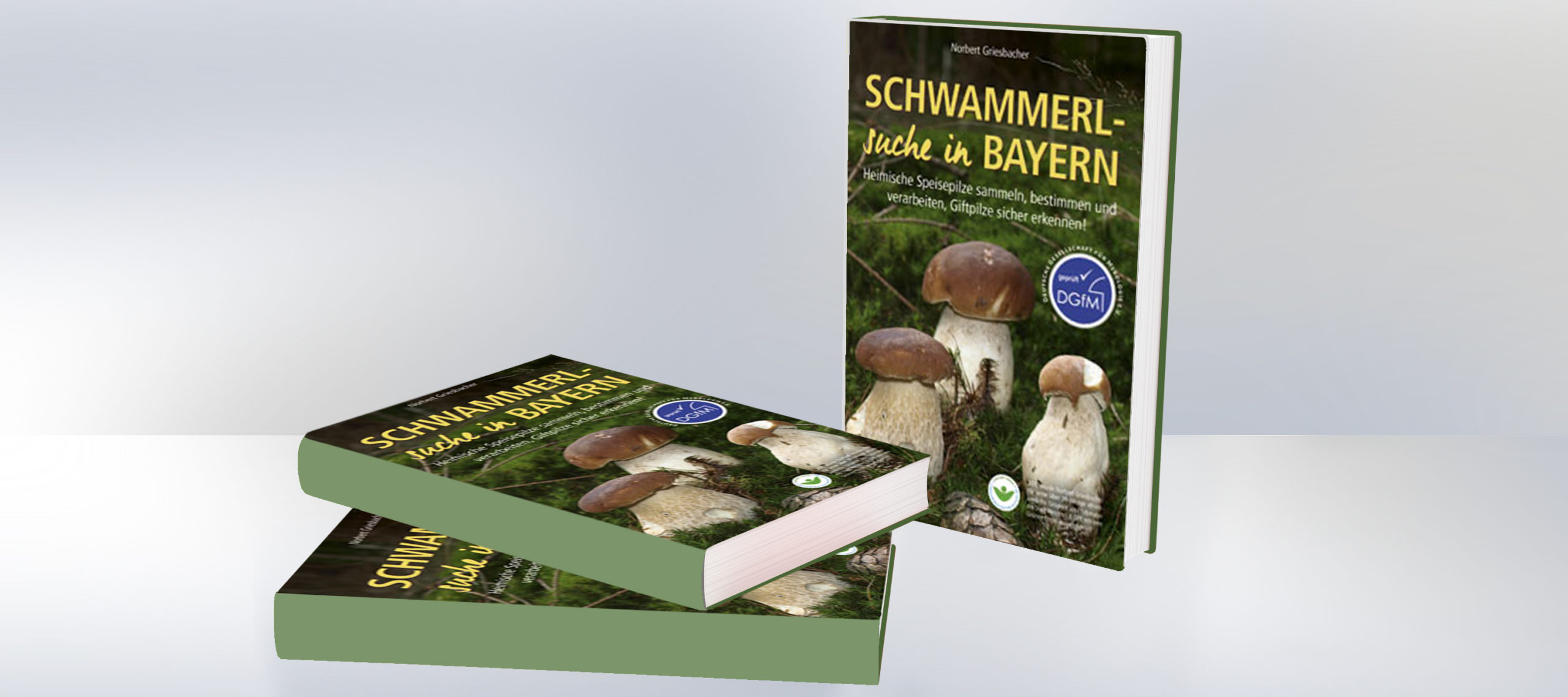 Buch-Tipp: Schwammerlsuche in Bayern