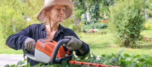 Vom Blumenkind zum Gartenbau – die inspirierende Reise einer starken Frau -Werbung- Vom Blumenkind zum Gartenbau – die inspirierende Reise einer starken Frau -Werbung-