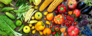 Gewinnspiel: Bio-Terra