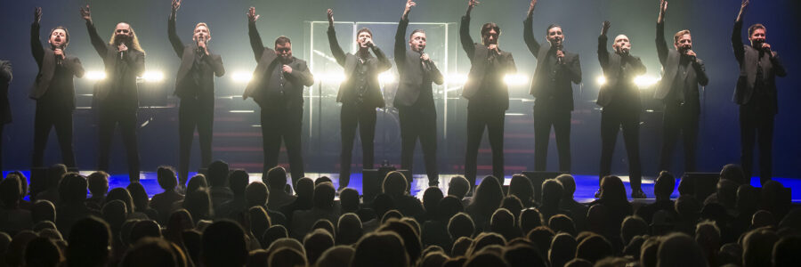 The 12 Tenors. Foto: Claudia Herzog