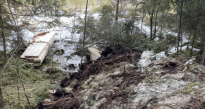 Eggstätt: Hochmoor wird wiederbelebt