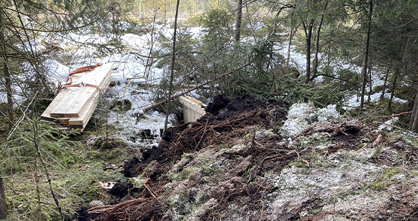 Eggstätt: Hochmoor wird wiederbelebt