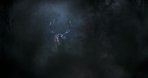 Film-Tipp: Das Flüstern der Wälder