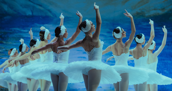 Gewinnspiel: Schwanensee – Jenseits der Bühne