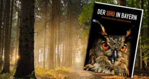 Gewinnspiel: Der Uhu in Bayern