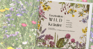 Gewinnspiel: Faszination Wildkräuter