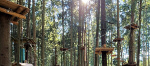 Gewinnspiel: Wildpark Oberreith Gewinnspiel: Wildpark Oberreith